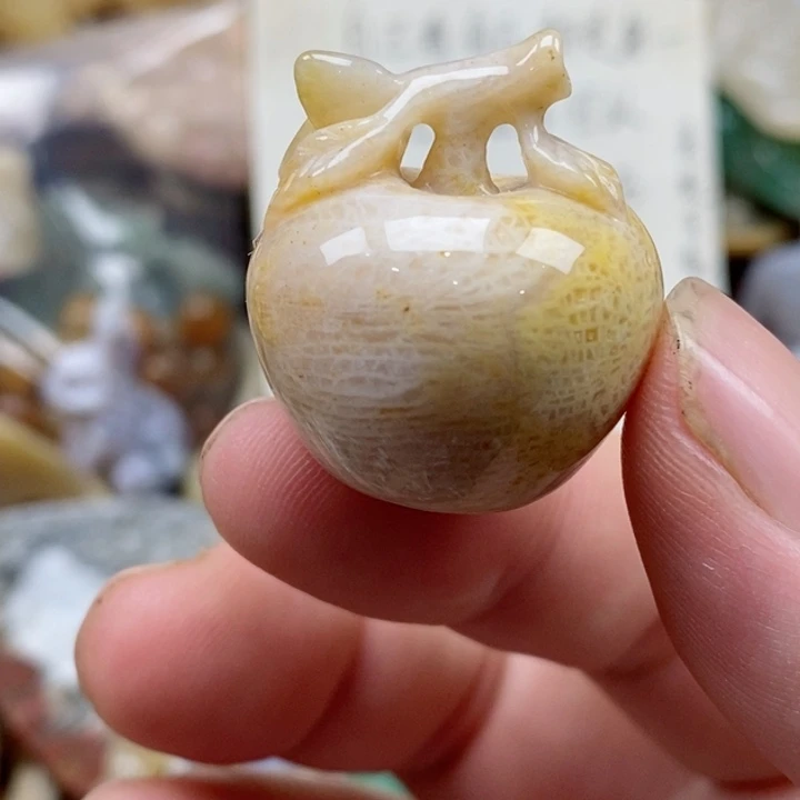 硅化珊瑚（珊瑚玉）未镶嵌颈饰