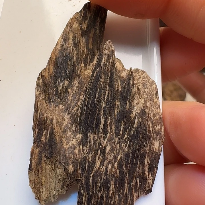 静水达拉干沉水2.7克！！！