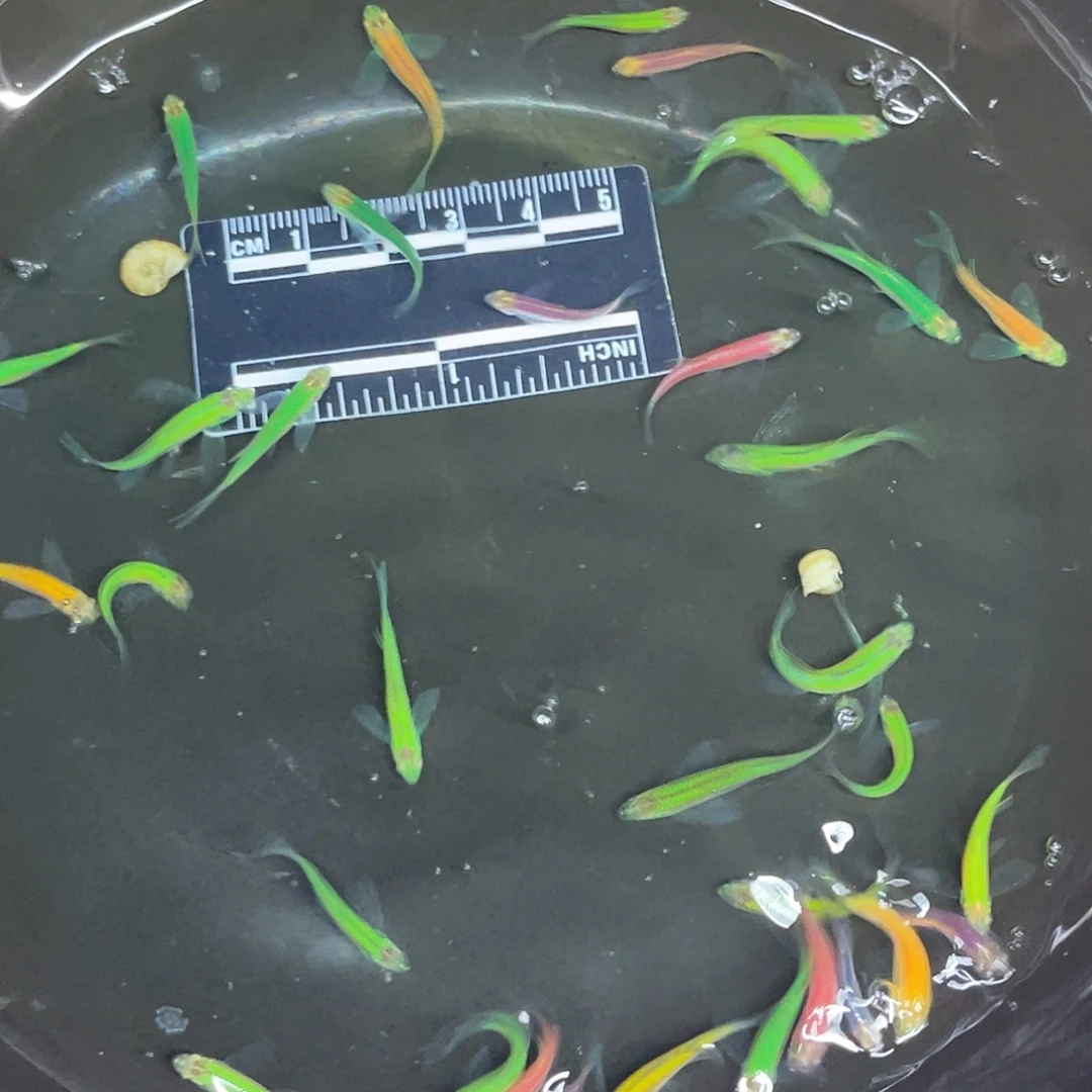 海星2-15号哈哈哈哈哈哈