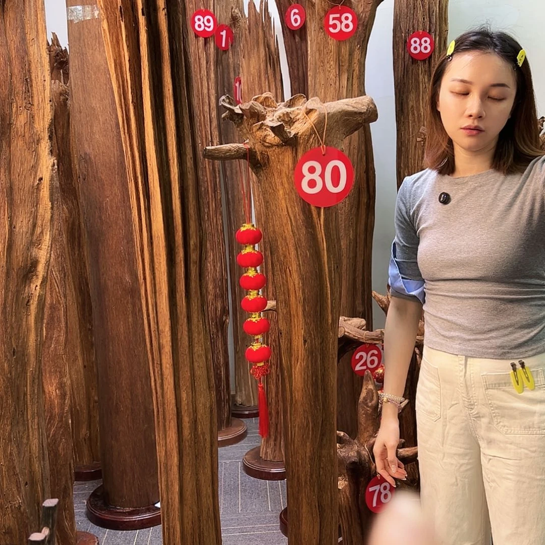 以***个摆件沉香天然沉香原材料高品质