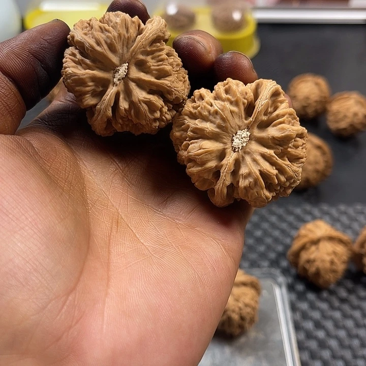 凯***哥文玩核桃吊坠文玩核桃大粗筋全品