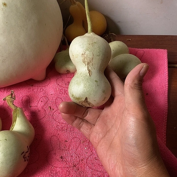 迷***葫青皮腰子葫芦手把件