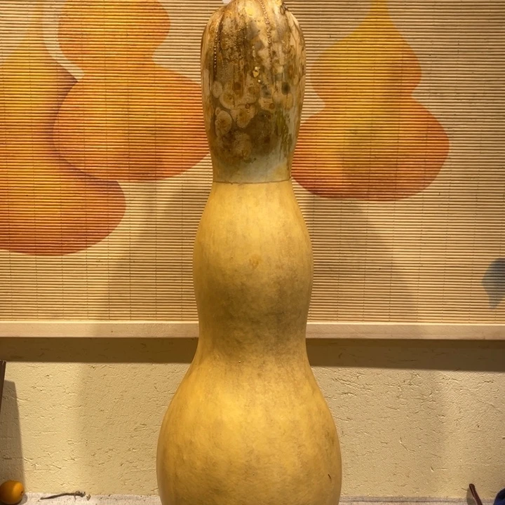 用***8仿木不包邮不保龙头