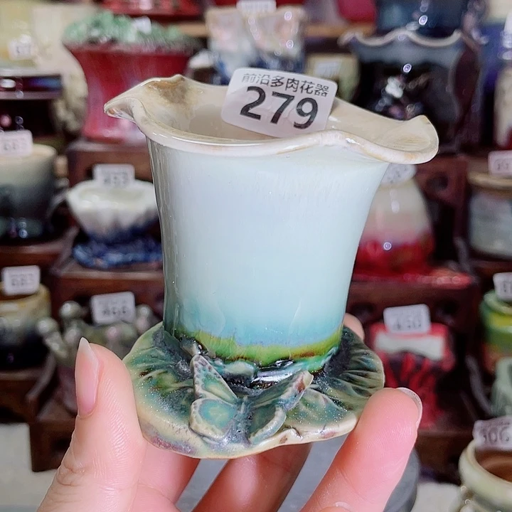 狼盆内口径5高度8