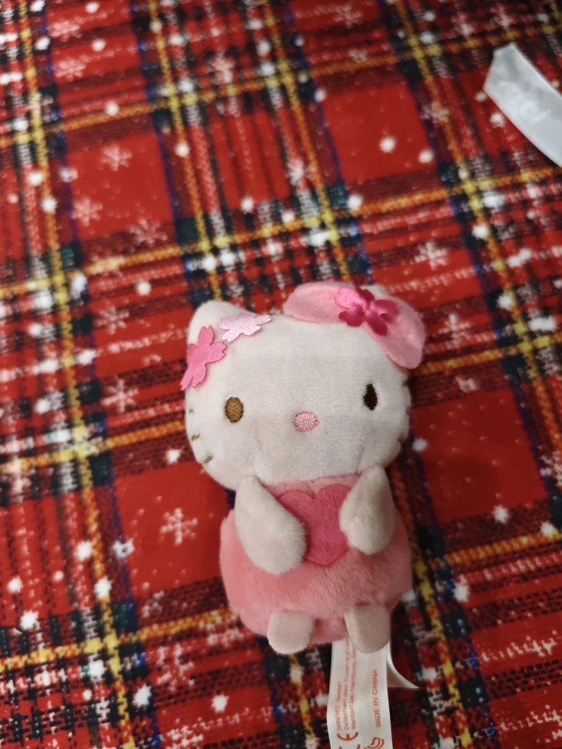 鱼尾专拍樱桃抱爱心kitty