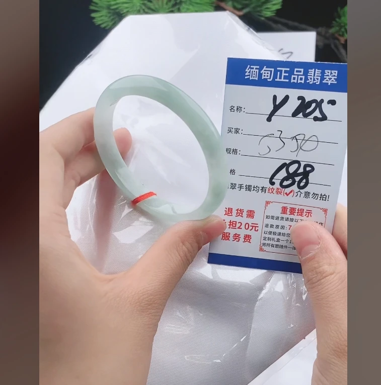 Y205缅甸翡翠处理手镯【一物一证】实物以直播间为准带证书发货
