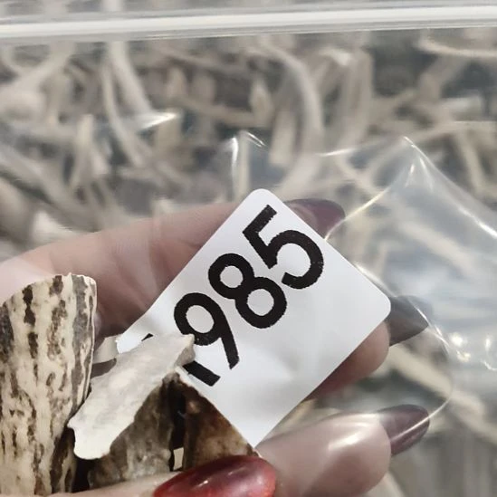 昨***梦鹿角鹿角鹿角鹿角