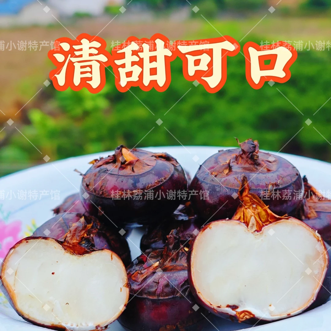 广西荔浦新鲜马蹄正宗马蹄果即食荸荠11月份应季水果水果马蹄荸荠
