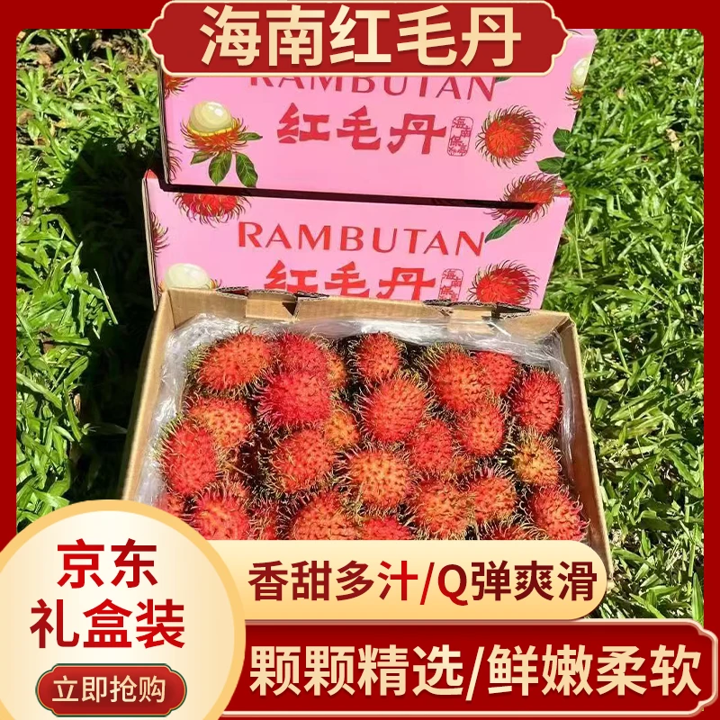 【京东空运】海南红毛丹礼盒装3斤起 现摘现发热带水果毛精选大果
