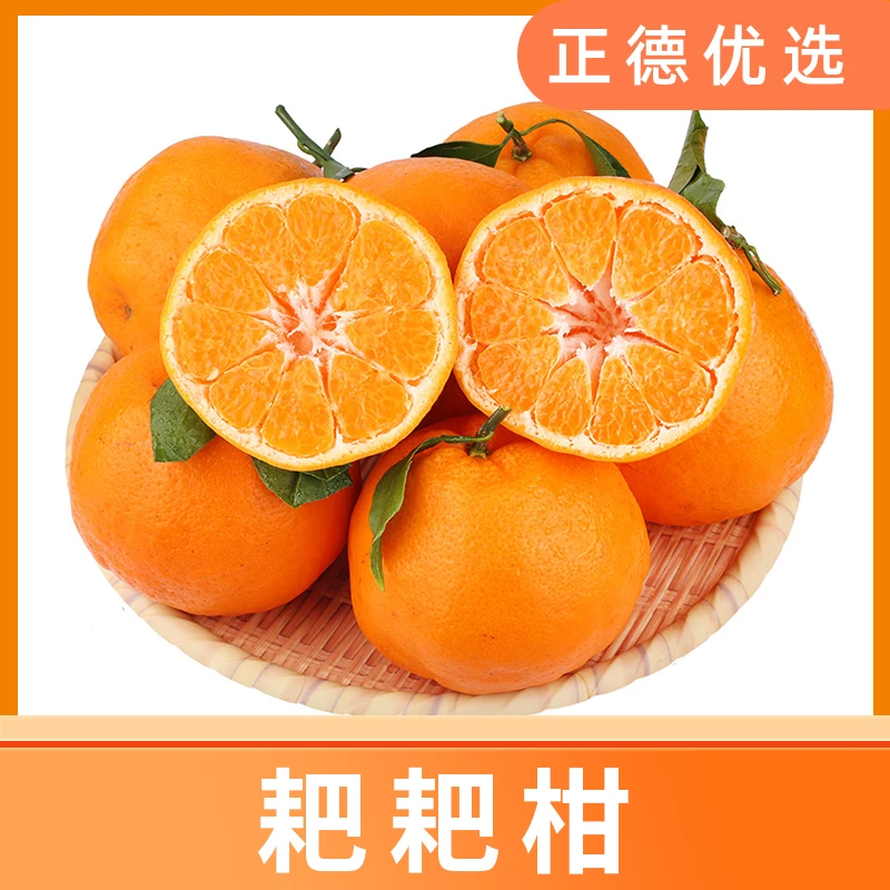 【不打退酸剂】四川眉山耙耙柑当季新鲜采摘水果鲜嫩多汁4.5斤 Q