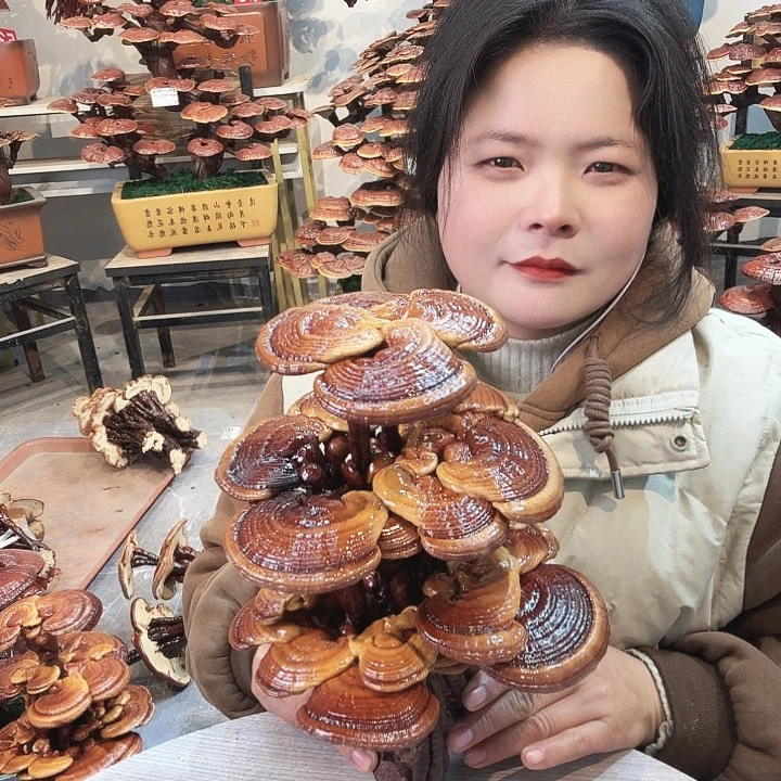 无花朵888888888888888888888888