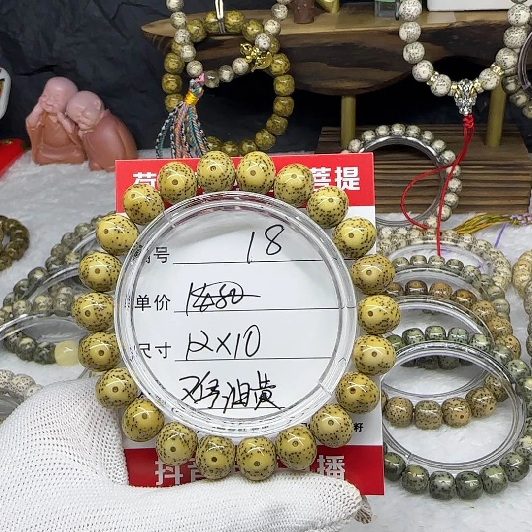 辉*海南荷塘星月菩提18