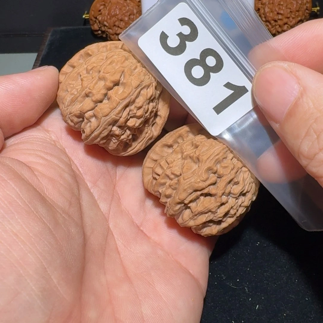 文玩核桃把件天****任白狮42