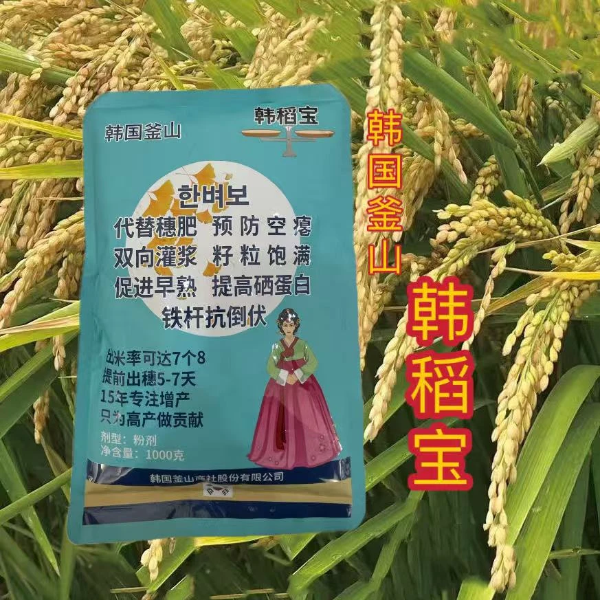 (韩稻宝):水稻喷施,籽粒饱满增产增收。