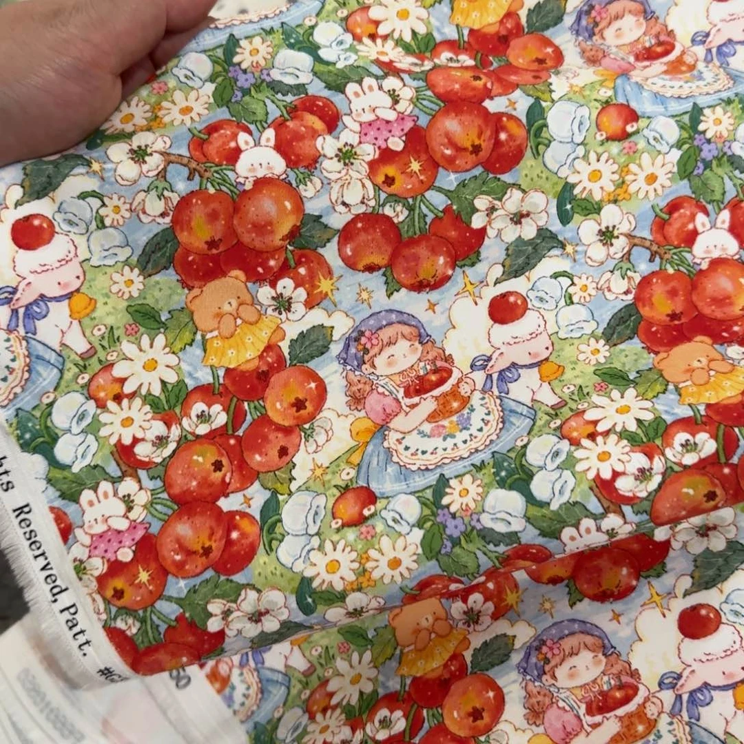 棉镇店之宝纯棉双层府绸1米价X1.5米宽D