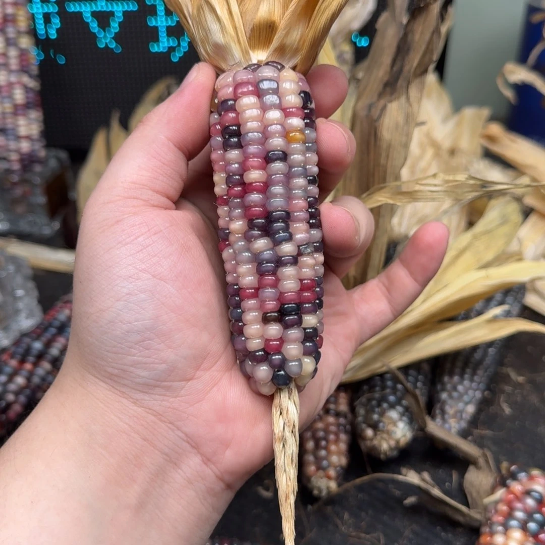 柏香籽/百香籽吊坠佩**姐