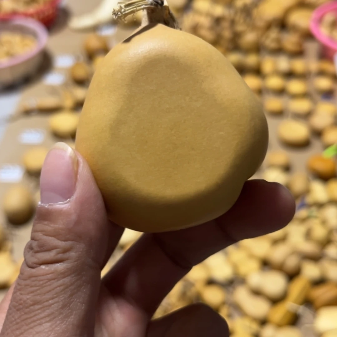 葫芦V**i梨扁不退不换