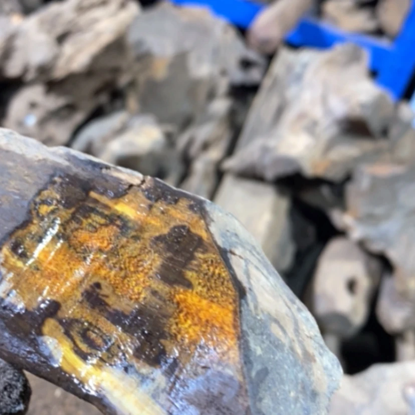 【闪购商品】贡木其他桃****?私人订制