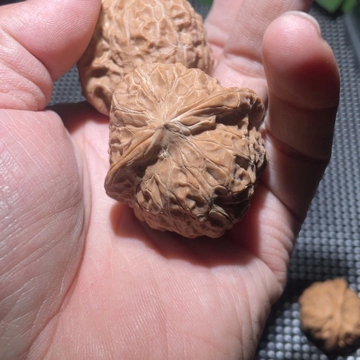 文玩核桃把件✨**✨文玩核桃