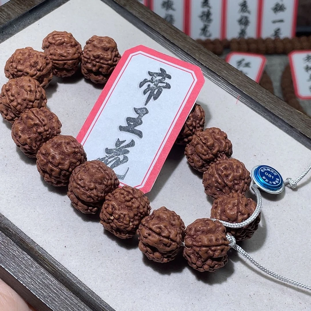 菩提籽类051帝王花