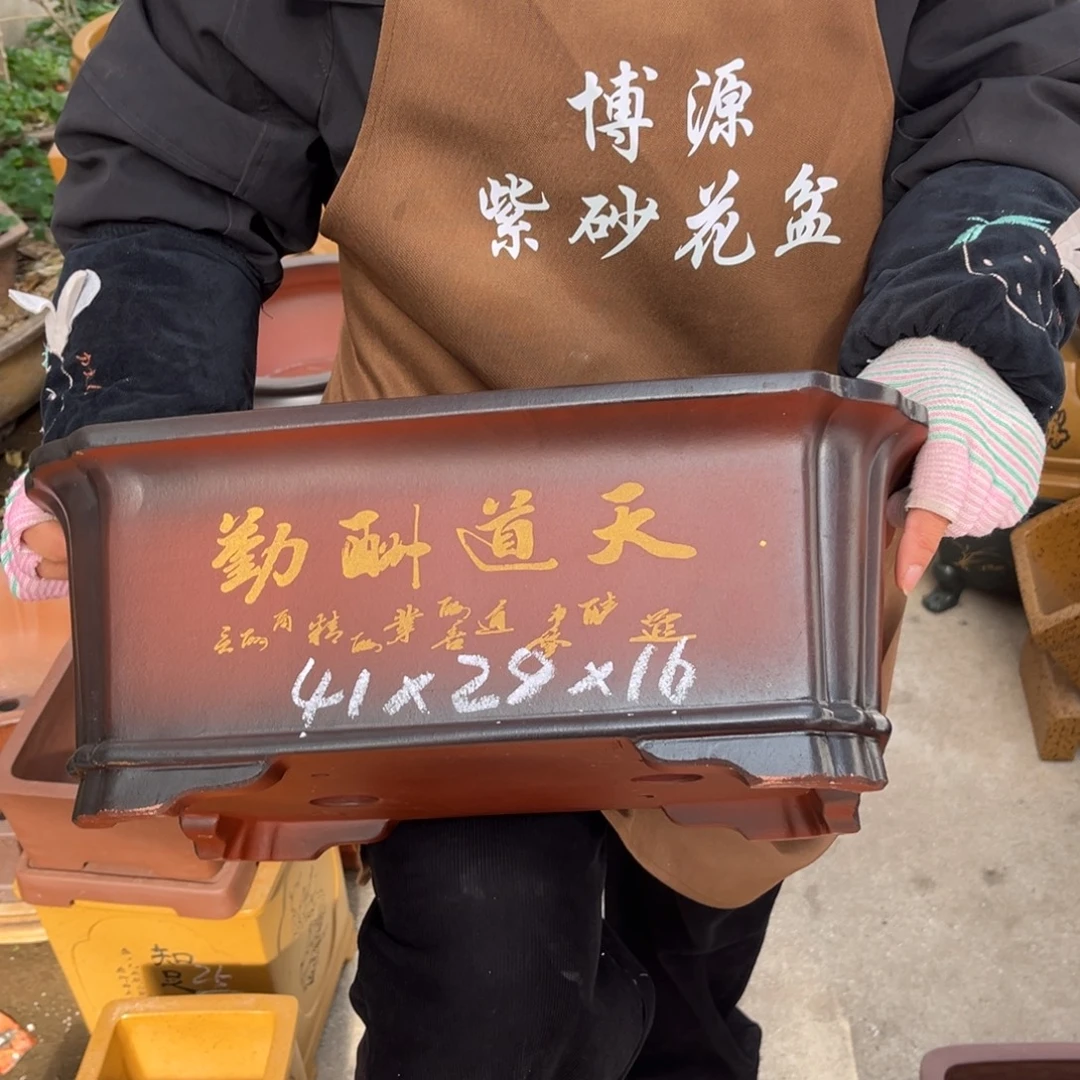 花盆紫砂盆景艺术