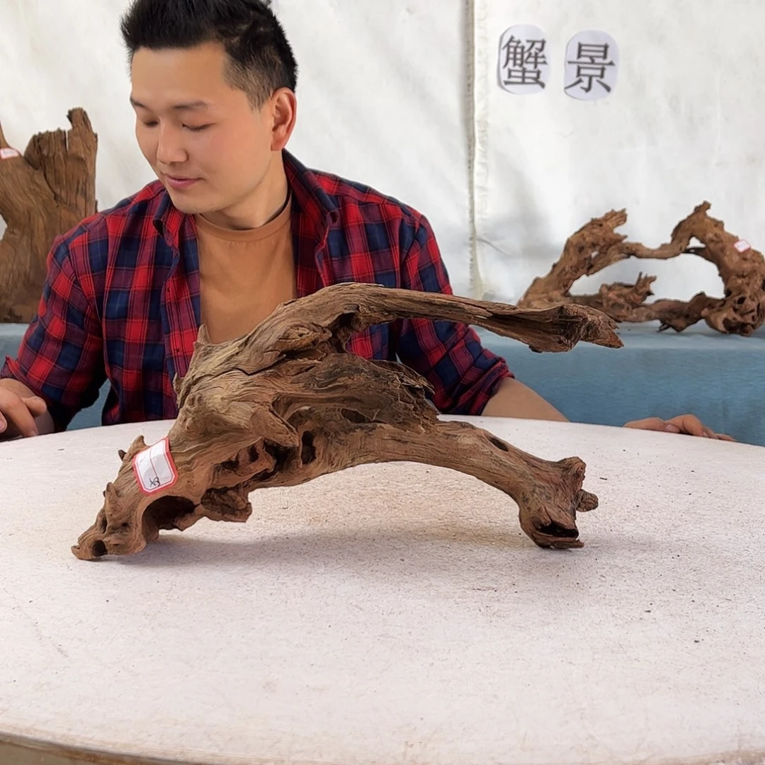 【****醒沉木造景爬宠造景