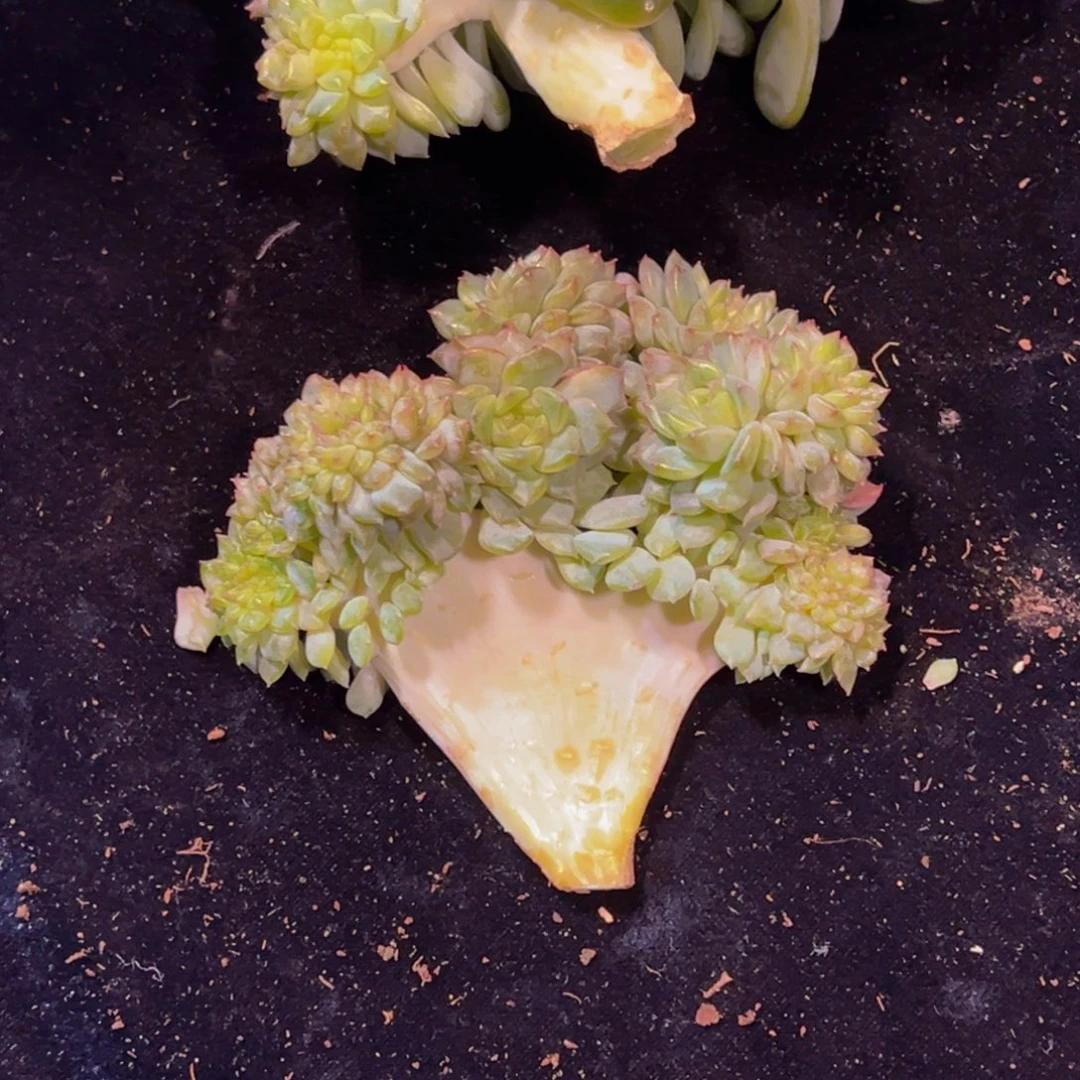 空***。天天开心天天开心