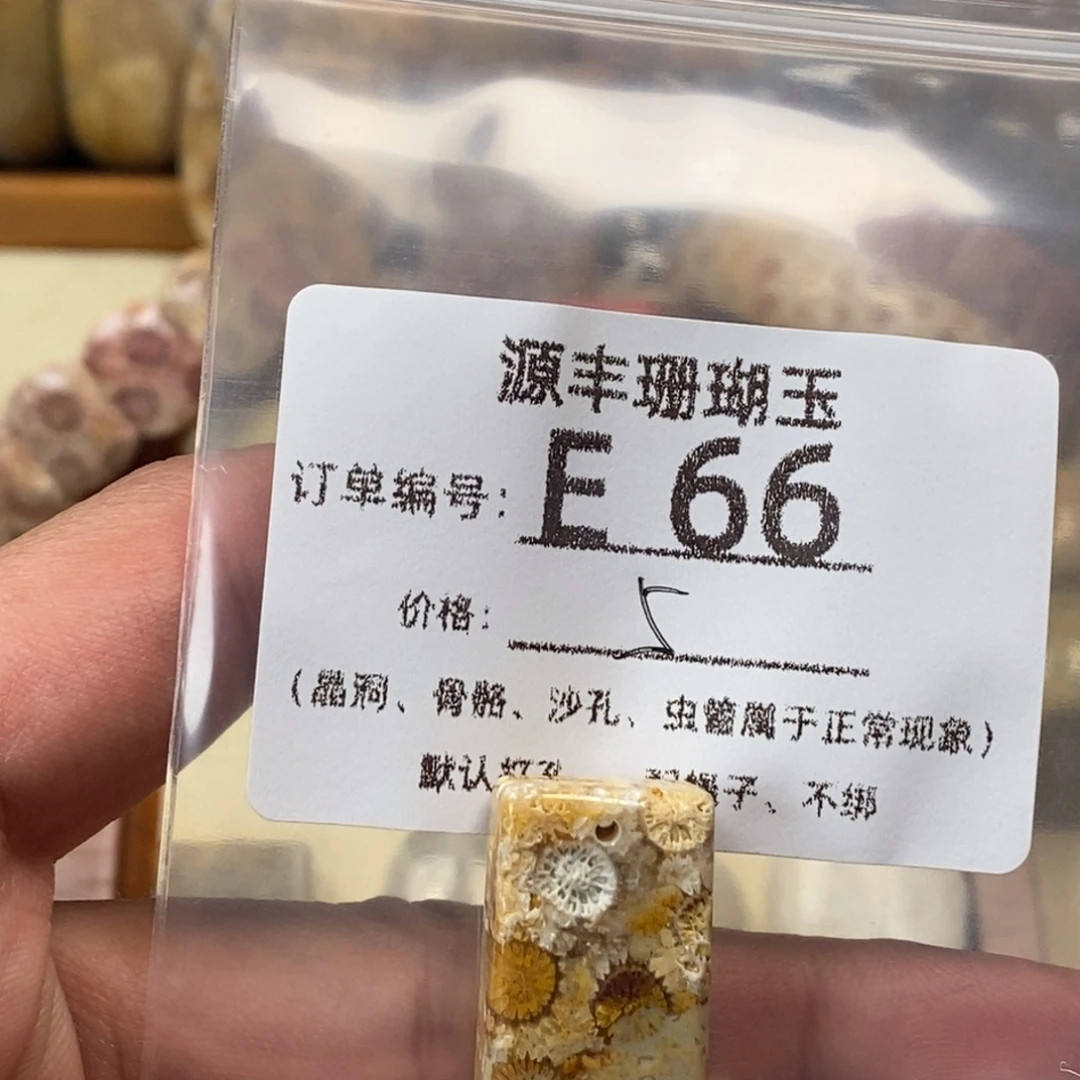 大***行硅化玉未镶嵌颈饰