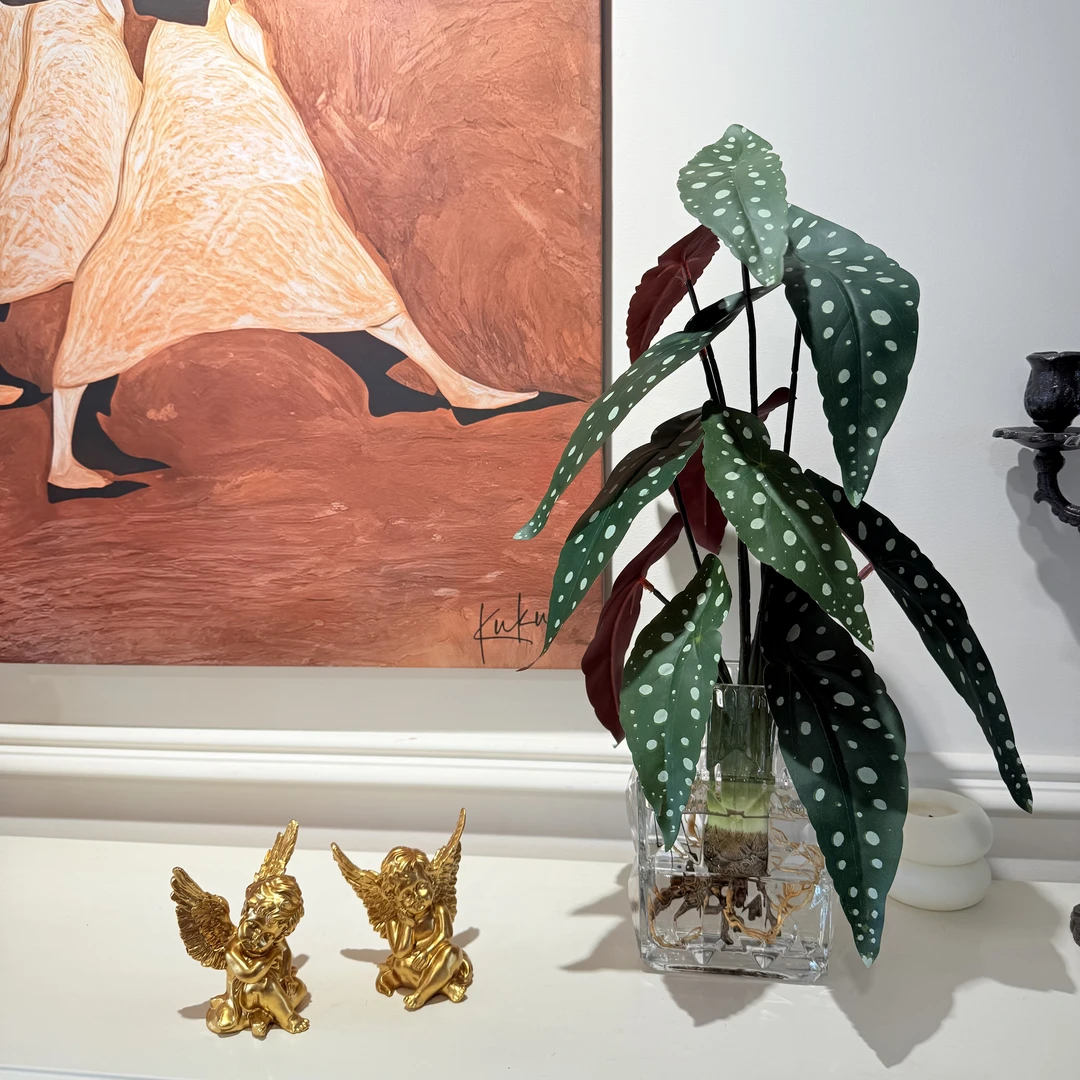 掬涵【酷酷专属】仿真绿植带根圆点秋海棠芋叶花艺造景植物装饰