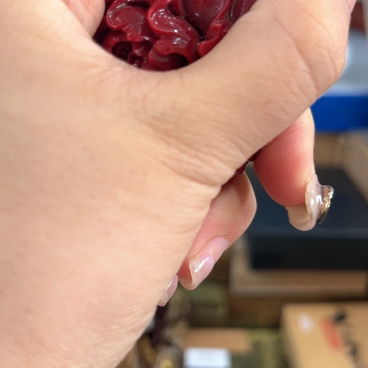茶宠阿哈哈哈哈哈哈
