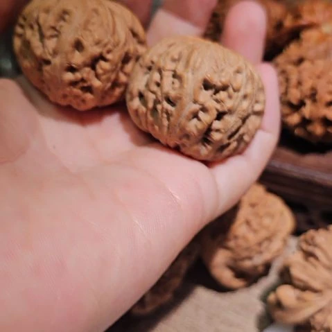 文玩核桃吊坠41+5大元宝