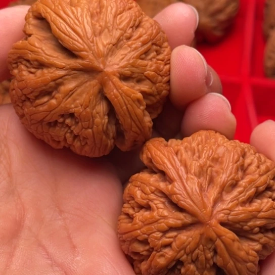 文玩核桃把件秦岭山脉核桃