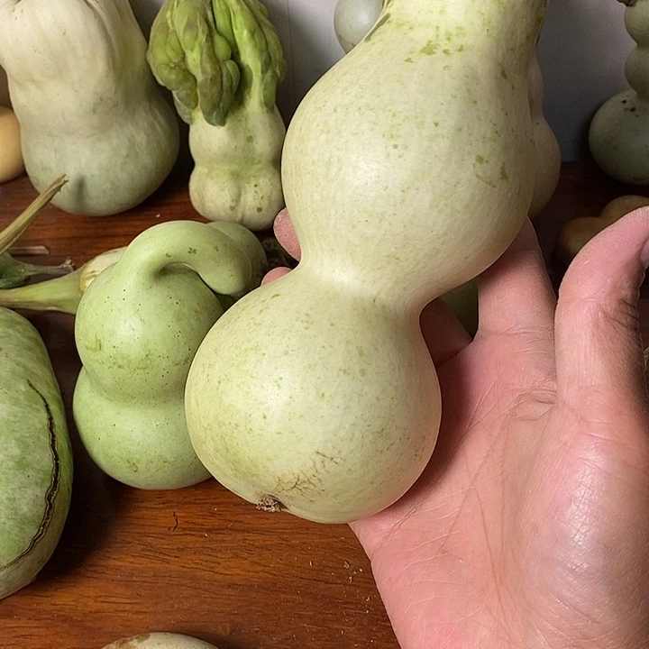 卡***尔青皮葫芦手把件摆件