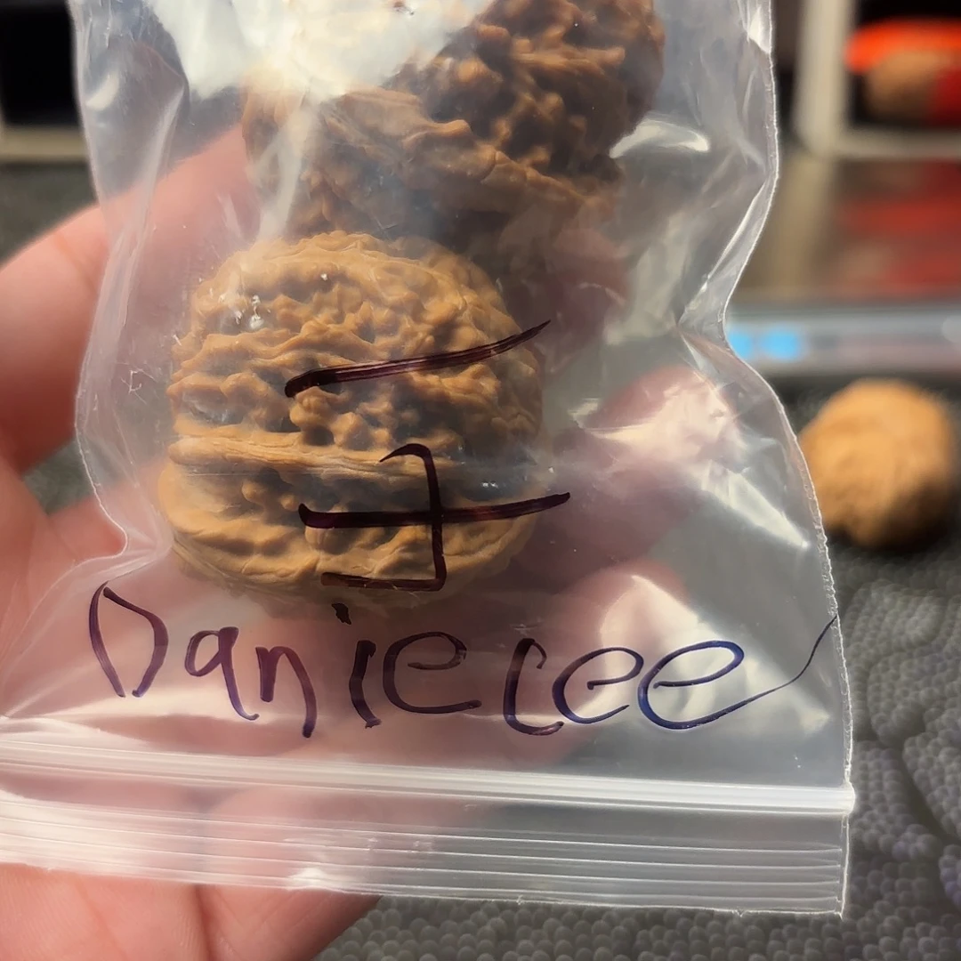 D***e大叶紫檀（黑酸枝木类）