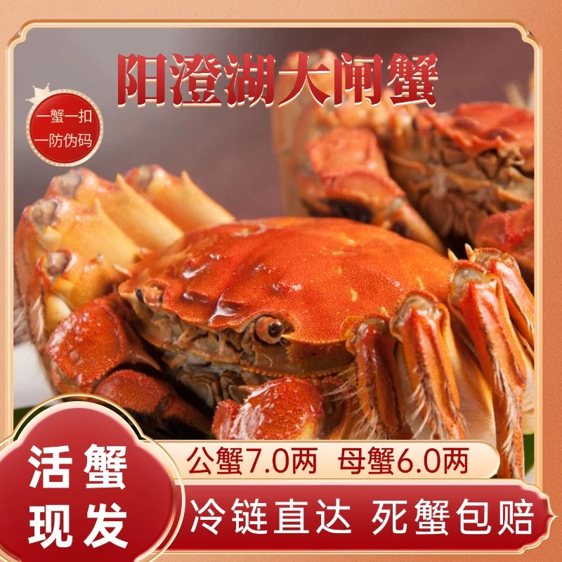【阳澄湖大闸蟹】活蟹7两公6母蟹5对10只姑苏水乡塘蟹礼盒装包邮