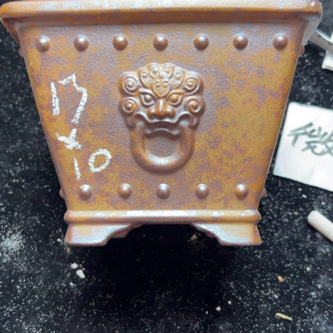 wwwwwwww娥娥薇薇