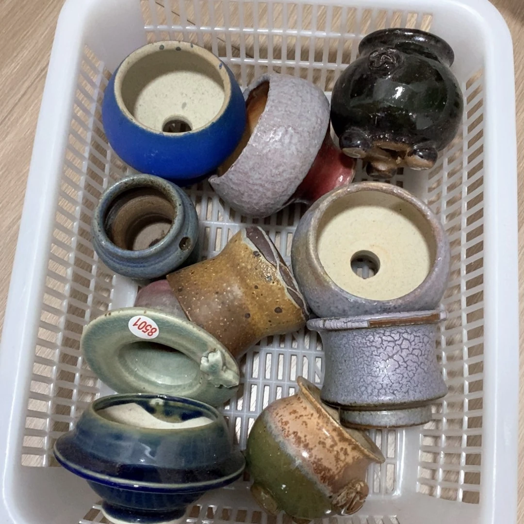 瑕疵的，处理的，处理