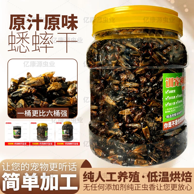 高蛋白宠物零食蟋蟀干爬宠蜥蜴守宫鸟龟通用天然无添加养殖场直发