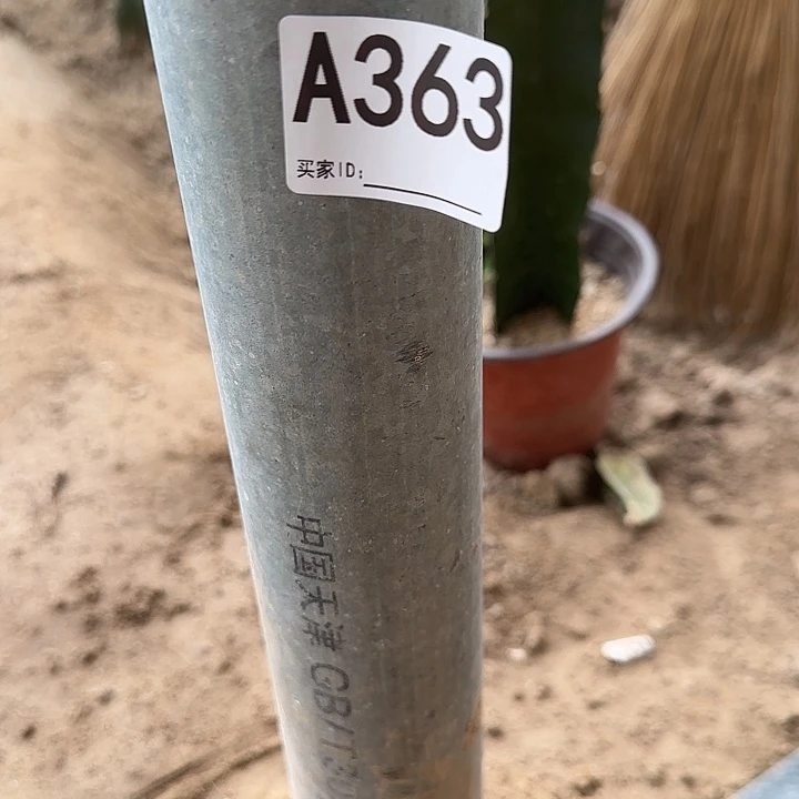 无花朵丽****)黄大刺363