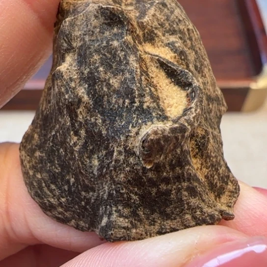 摆件沉香老海南沉水尖峰岭沉水1.6克