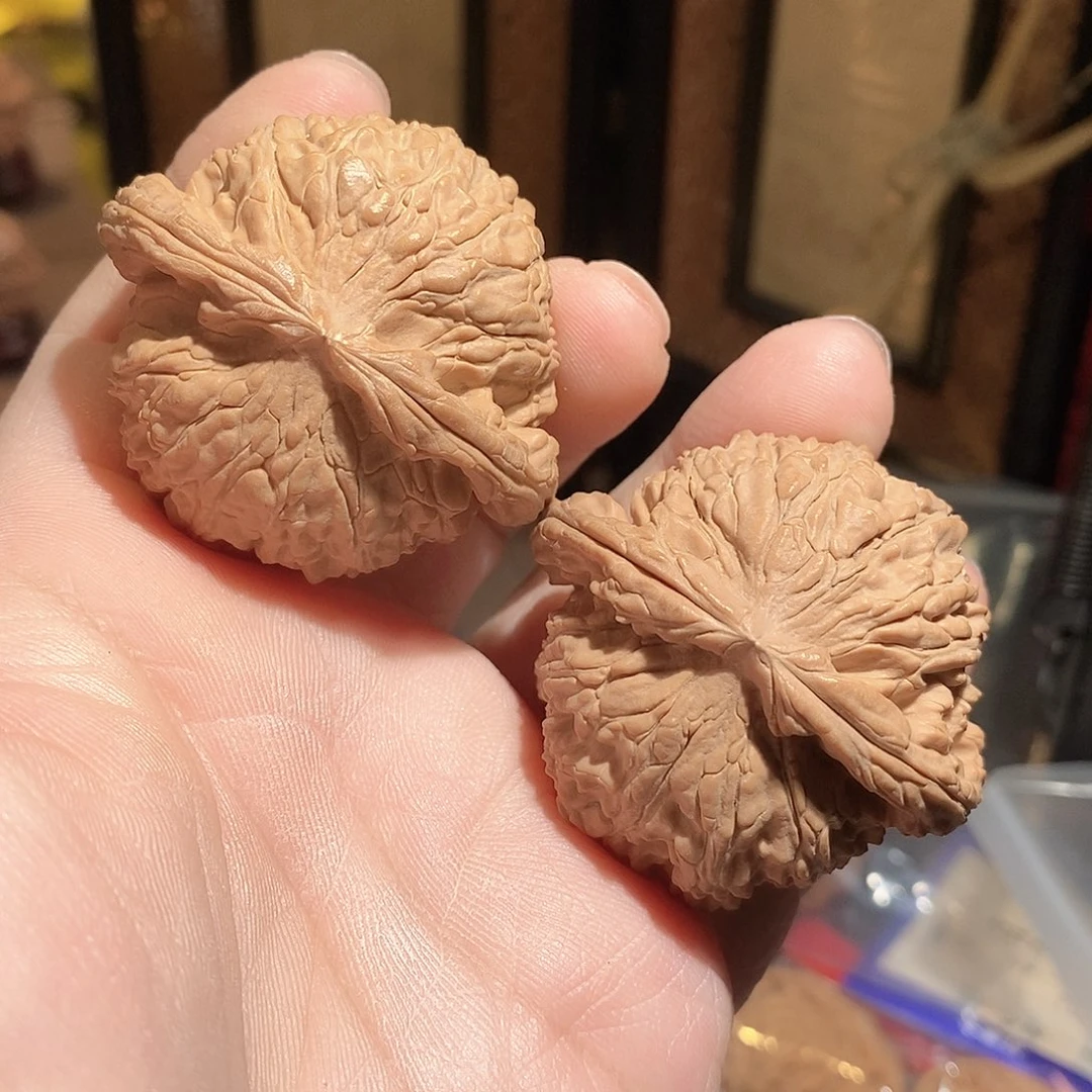 文玩核桃把件49白狮子全品