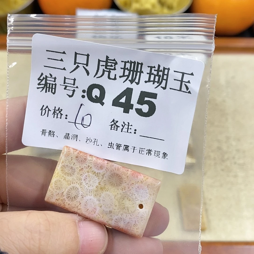 硅化珊瑚（珊瑚玉）1未镶嵌B****f