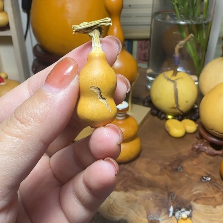 清***光草里金天裂葫芦葫芦葫芦