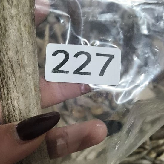 王***岩鹿角鹿角鹿角鹿角鹿角鹿角