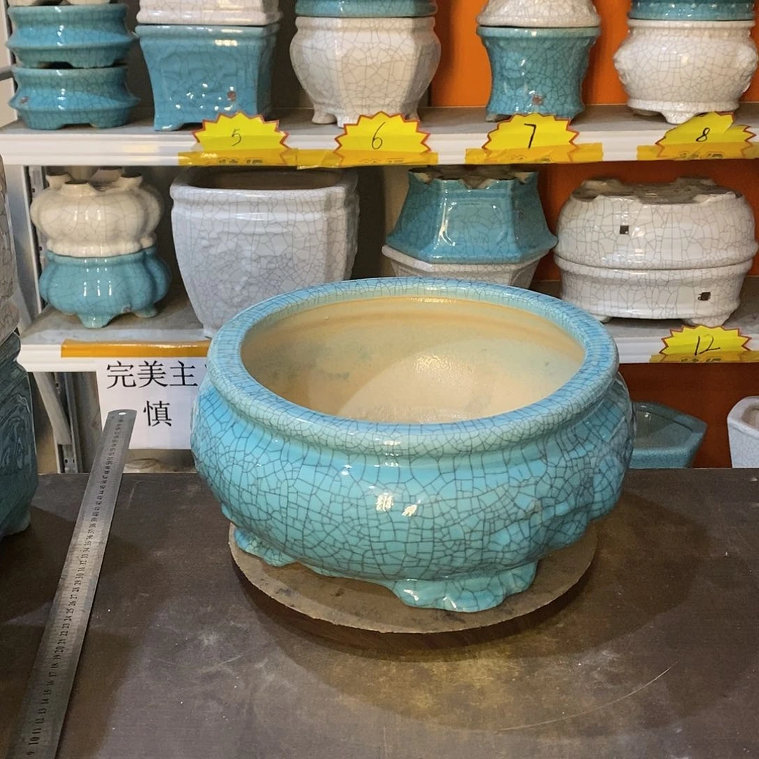 果*花盆里的小猫咪