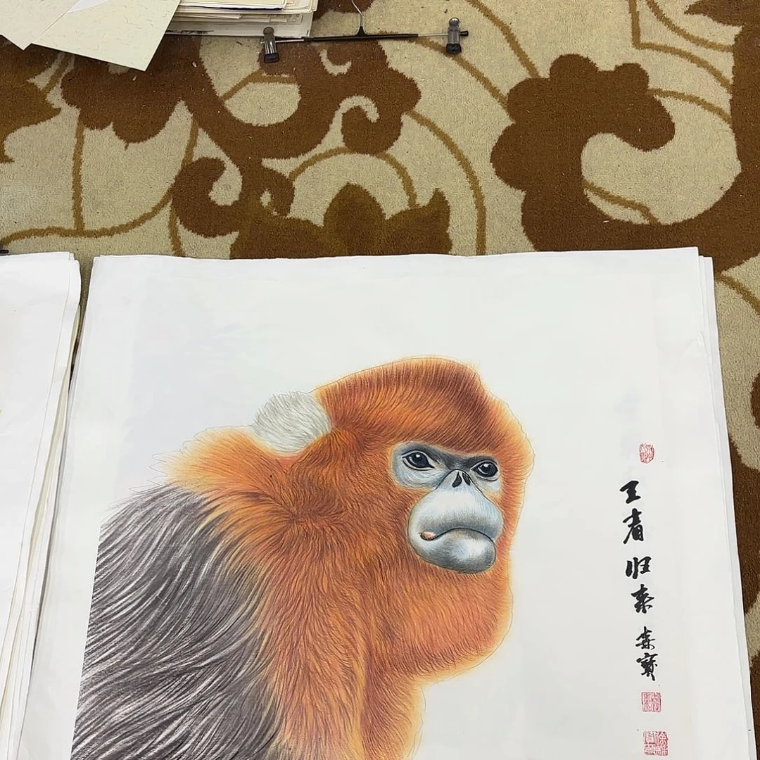 国画李李希李希李欣主播