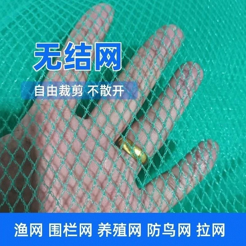 高强度扬子料无结网箱定制渔网鱼网密眼