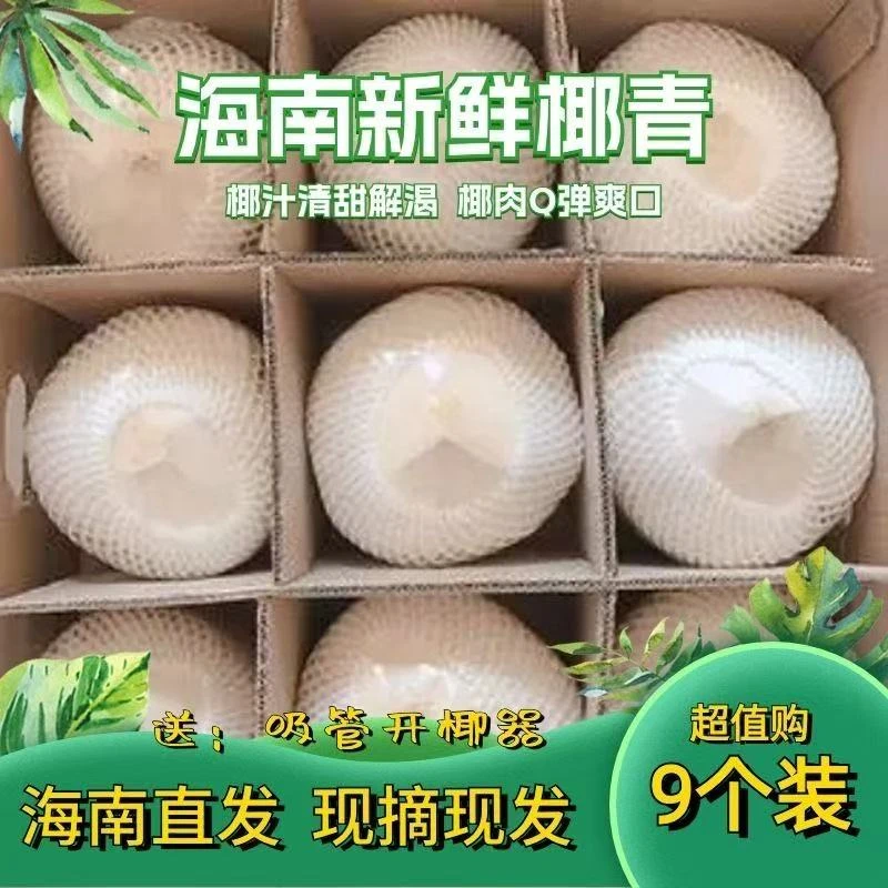 海南现摘现发现挑新鲜原生态去皮大果椰青9个装，送开椰器+吸管