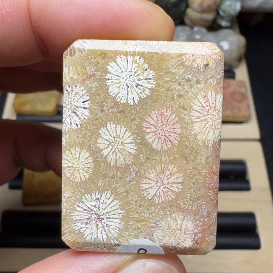 硅化玉未镶嵌纯天然色有机玉石保真色
