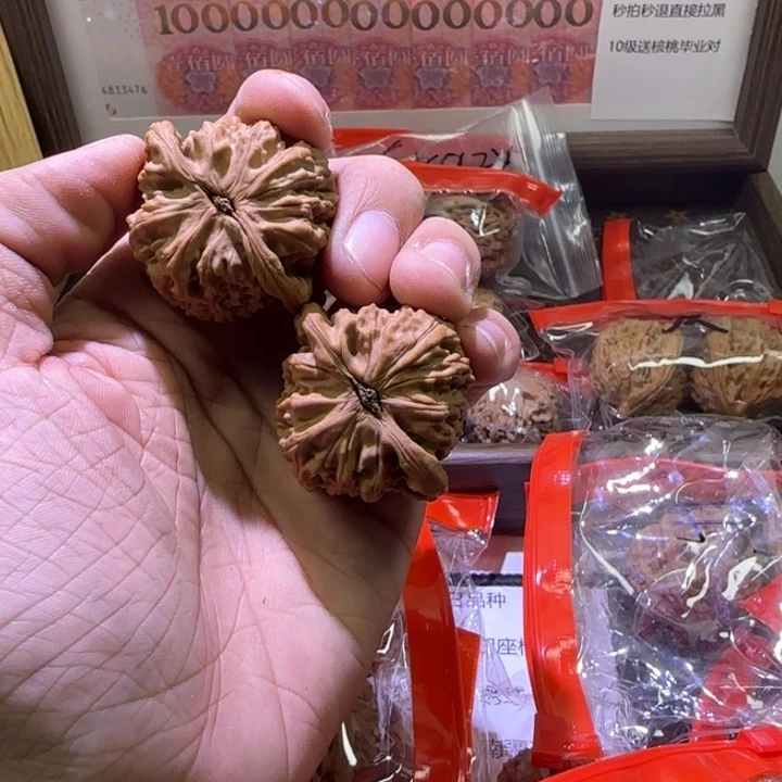 核桃手串/手链S****-白狮子